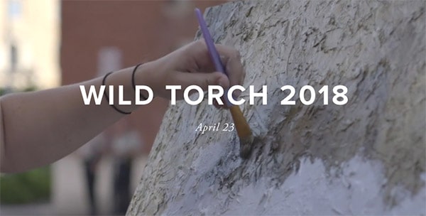 wild torch